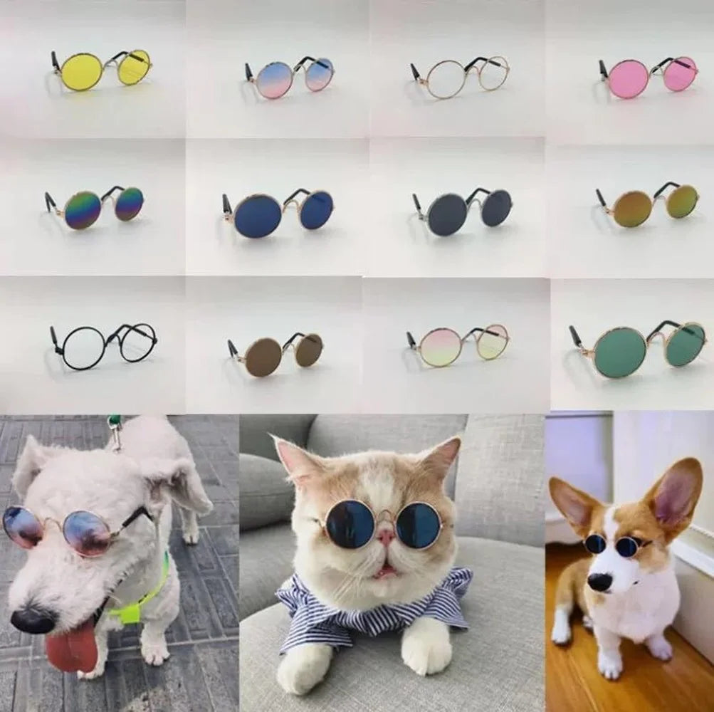 Pet Glasses (small dogs and cats)