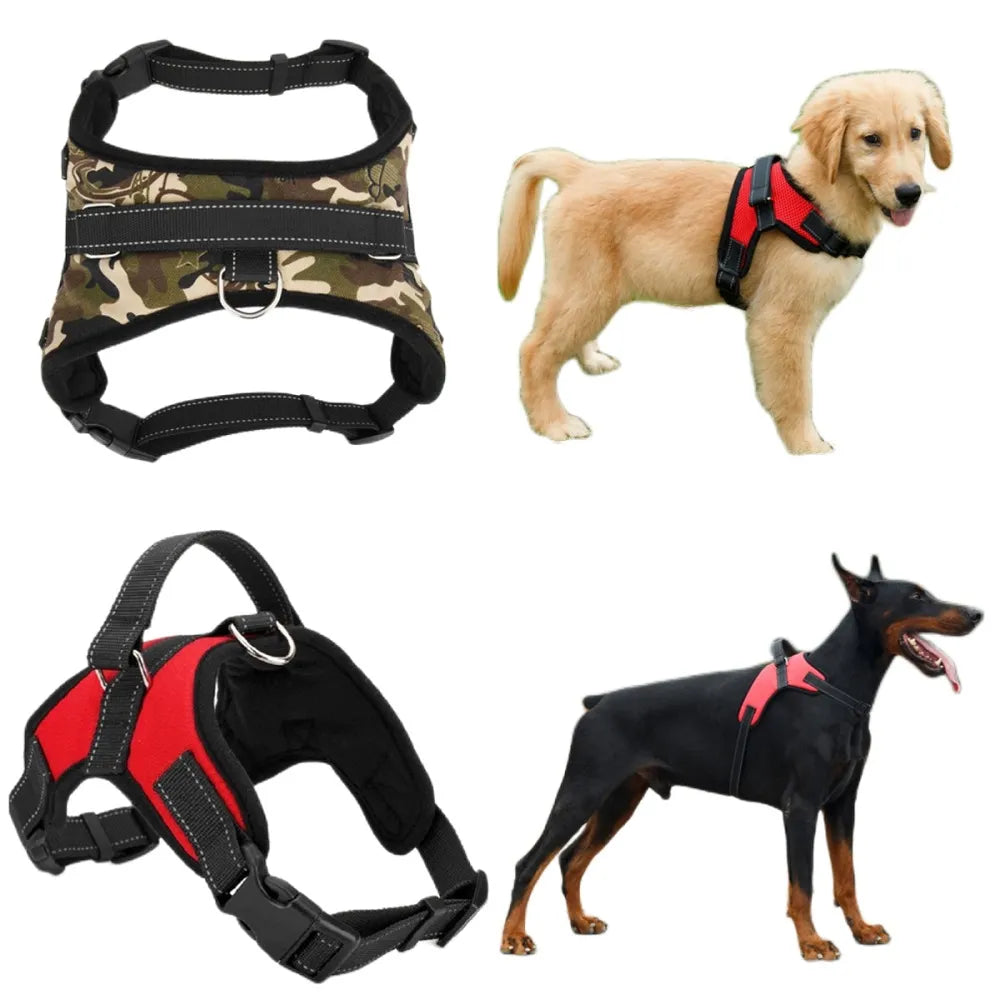 Adjustable Dog Harness